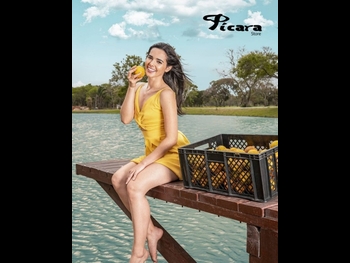  alt="Romy Paz"