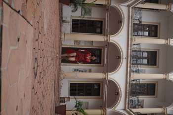 Romy Paz