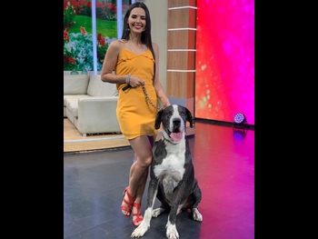  alt="Romy Paz"