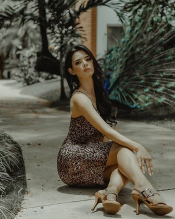 Romy Paz