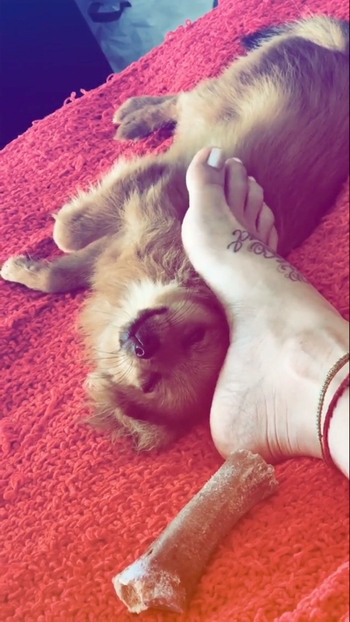 Greeicy Rendón