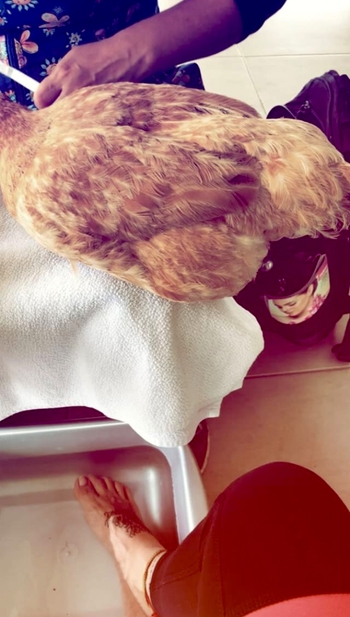 Greeicy Rendón