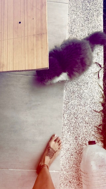 Greeicy Rendón