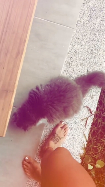 Greeicy Rendón