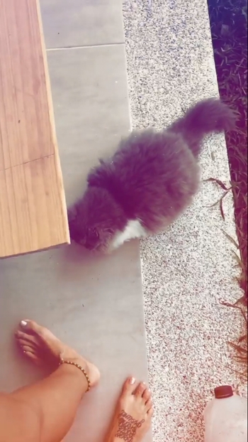 Greeicy Rendón