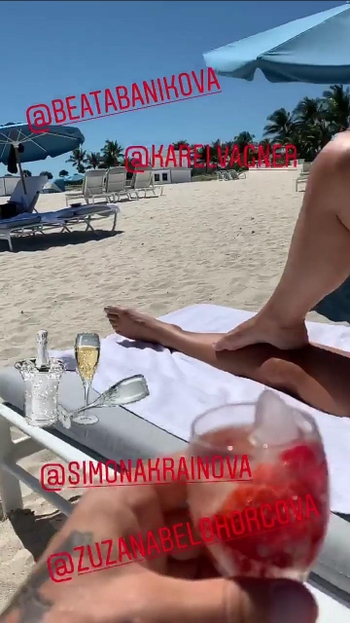 Simona Krainová