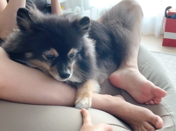 Pyo Eun-Ji