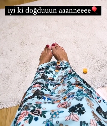 Gülben Ergen