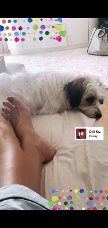 Gülben Ergen