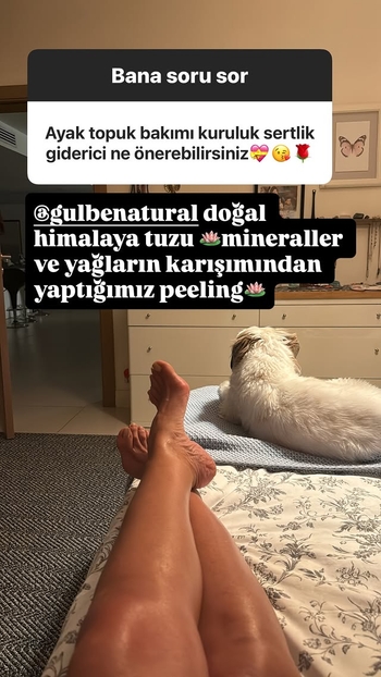 Gülben Ergen