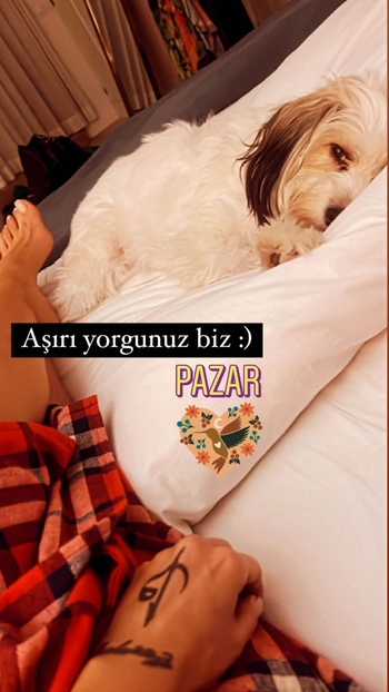 Gülben Ergen