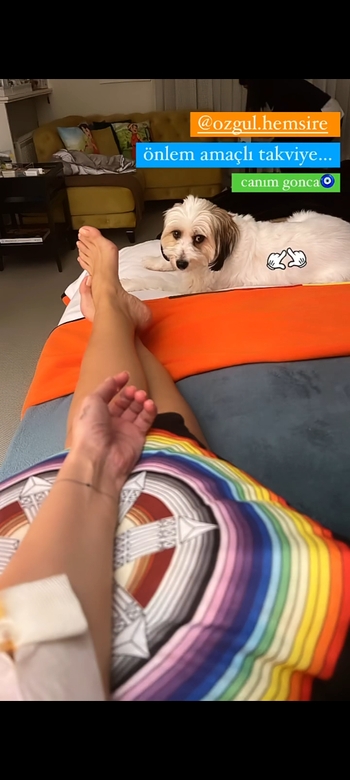 Gülben Ergen