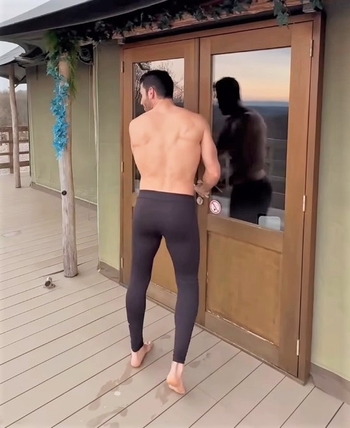 Miguel Ángel Silvestre