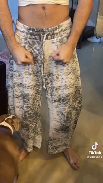 Nicolas Vansteenberghe