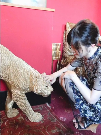 Akari Kitô