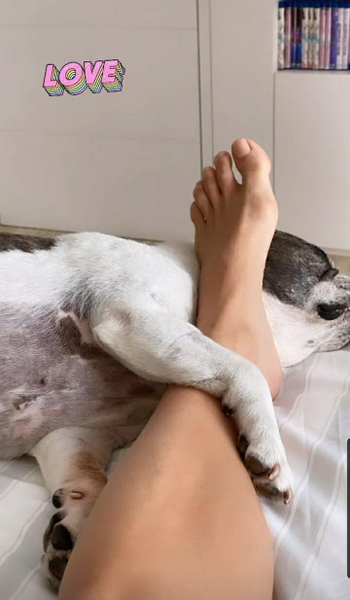 Flávia Alessandra