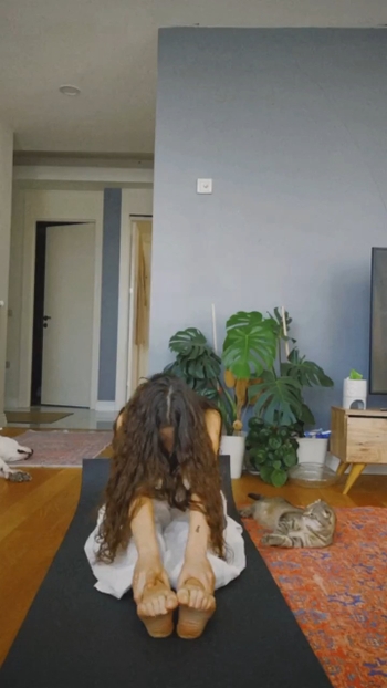 Meral Büyükkalkan