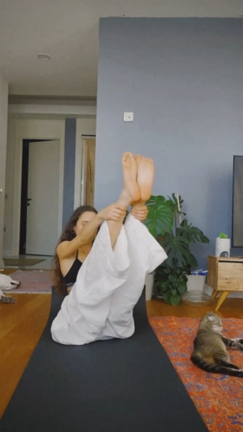 Meral Büyükkalkan