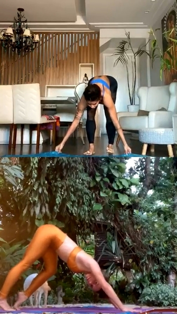Aline Campos