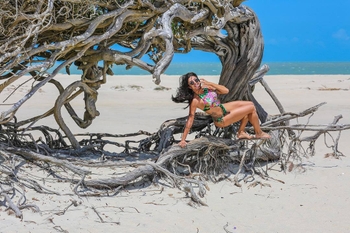Aline Campos