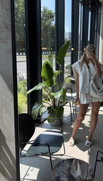 Zora Hejdová