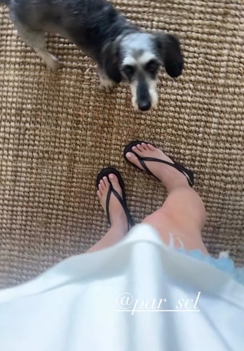 Javiera Díaz de Valdés