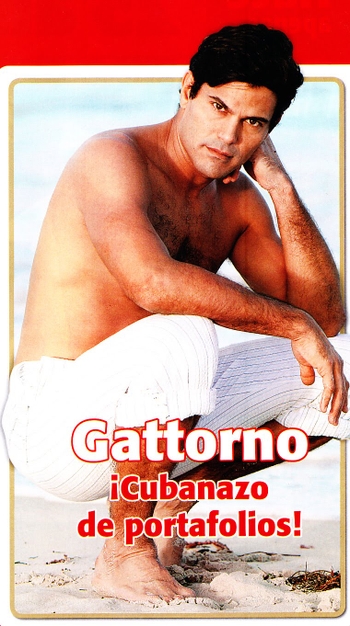 Francisco Gattorno