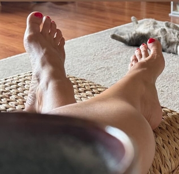 Anita Ábel