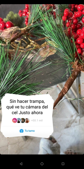 Mónica Jaramillo G.