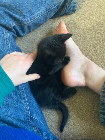 Pixxie