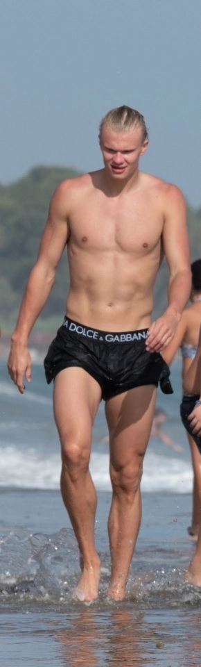 Erling Braut Håland