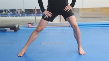 Erling Braut Håland