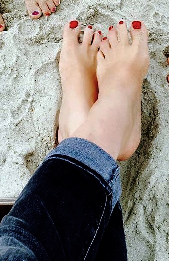 Dorothee Bär