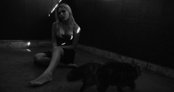 Tommi Rose