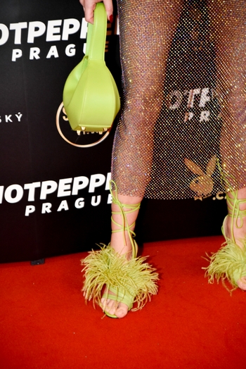 Dominika Mesarosová