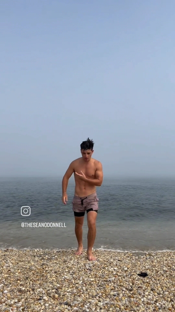 Sean O'Donnell