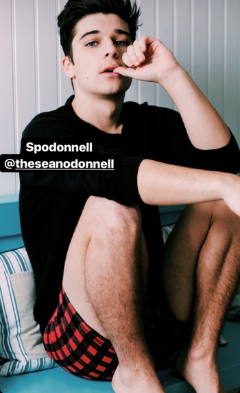 Sean O'Donnell