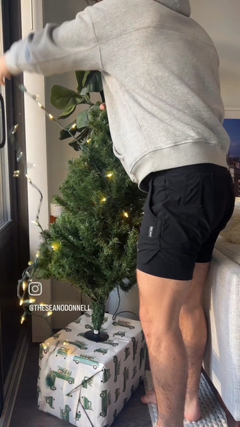 Sean O'Donnell