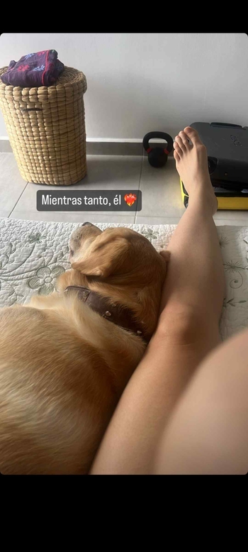 Catalina García