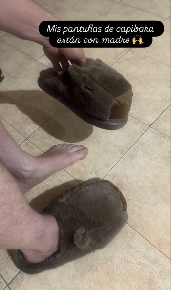 Marco Antonio Valdés