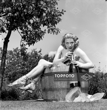 Sandra Dorne