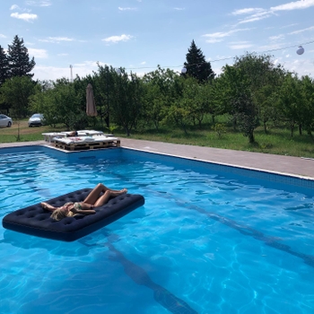 Tamar Shedania