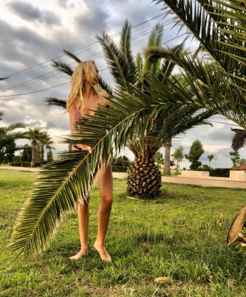 Tamar Shedania