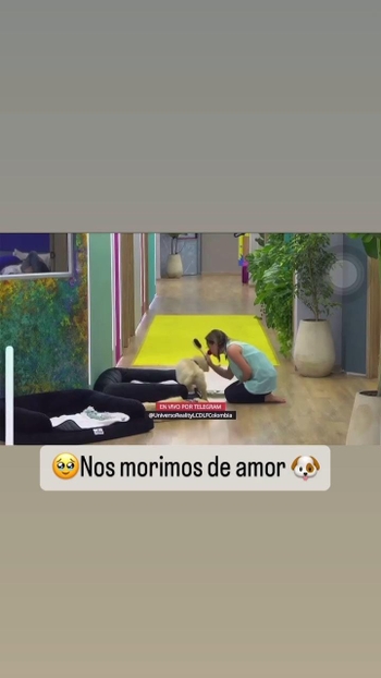 Diana Ángel