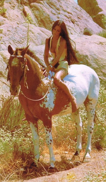 Cher