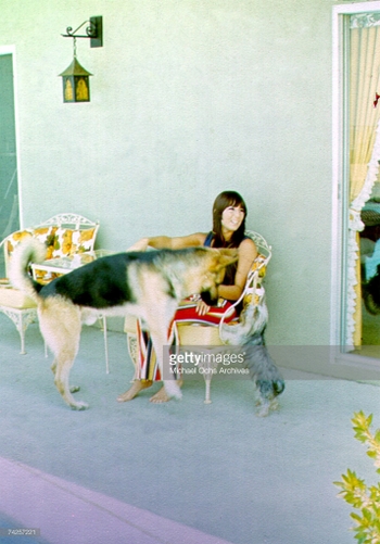 Cher