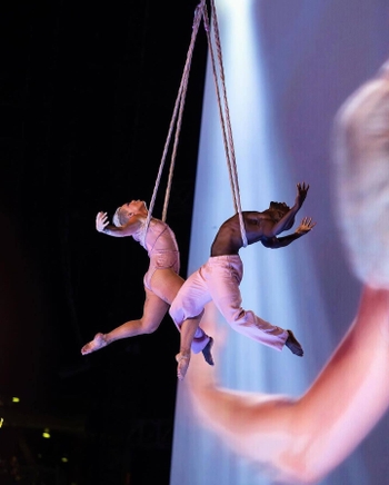 P!nk