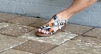 Sofía Zamolo