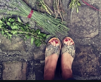 Amandine Chaignot