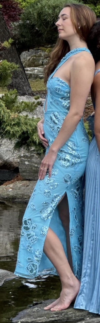 Anne Regine Ellingsæter